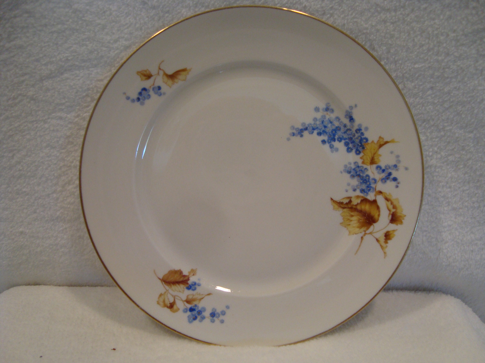 Rosenthal China Selb Plossberg Germany Aidi And 50 Similar Items
