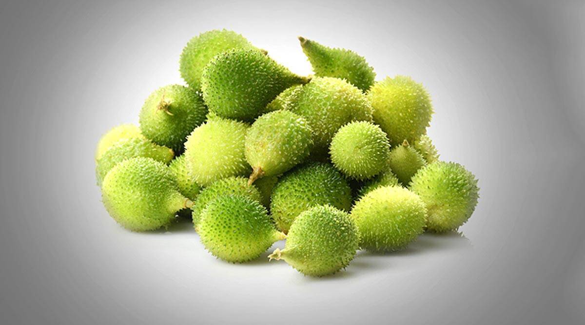 Spiny gourd seeds, Momordica dioica, Kantola seeds, spine gourd seeds