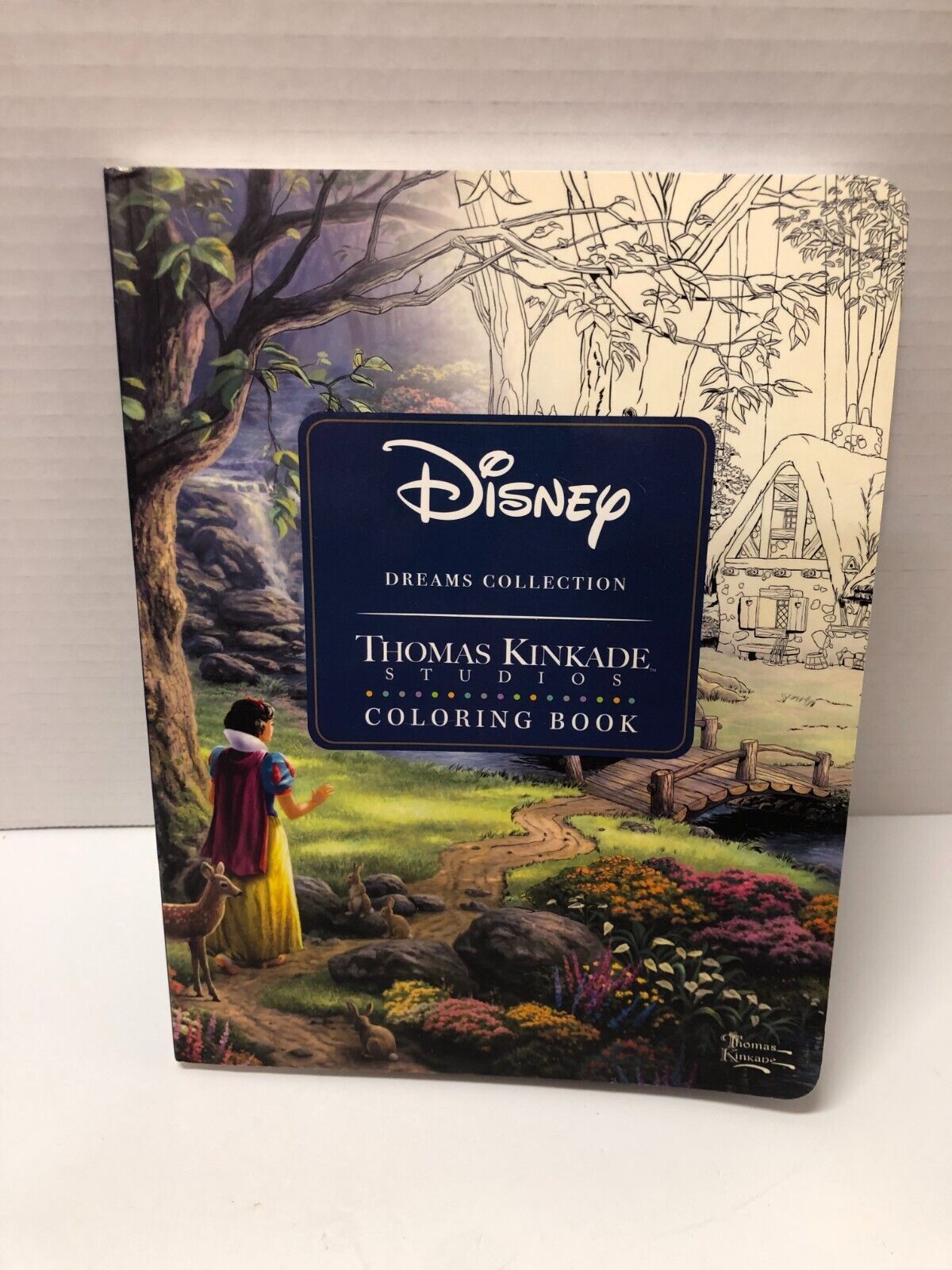 The Disney Dreams Collection Coloring Book by Thomas Kinkade Books