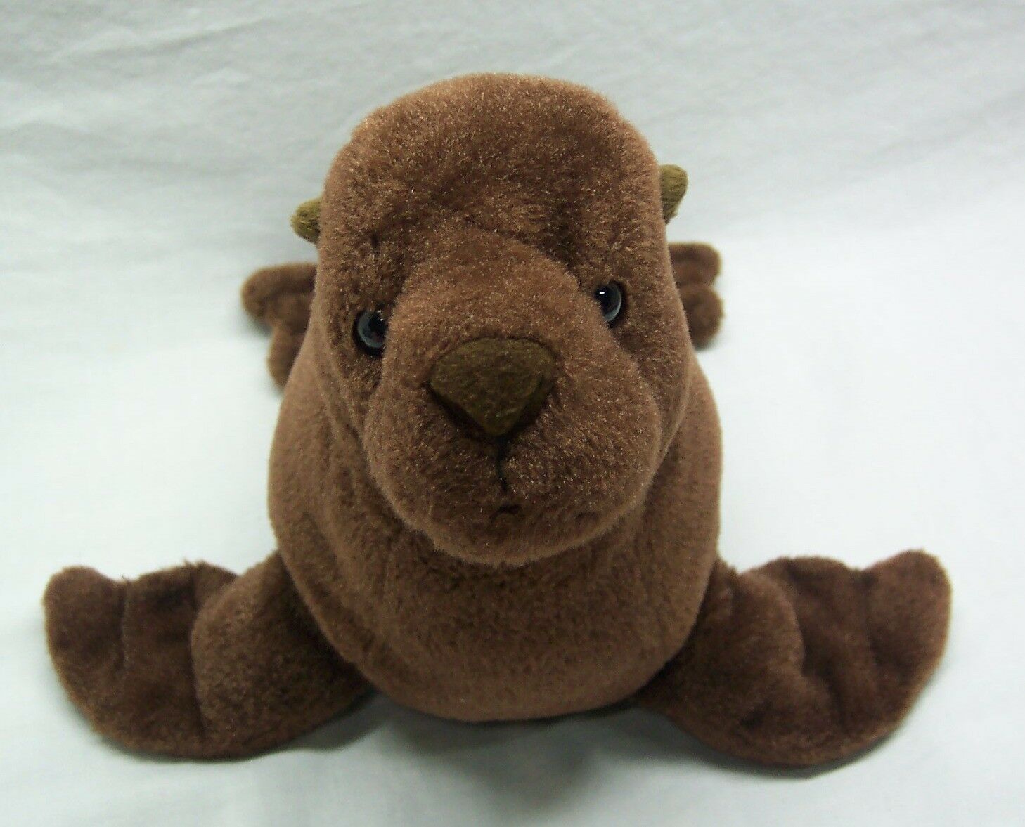 stuffed sea lion