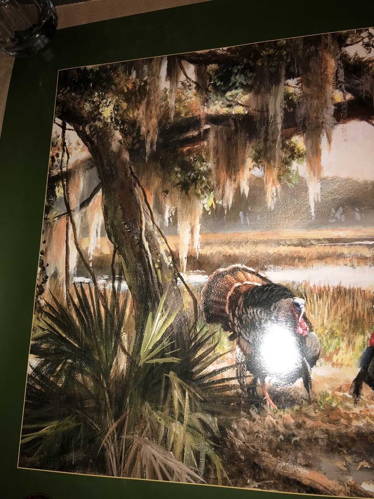 wildlife exposition wildlife exposition