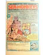 1980 Color Ad Sea-Monkeys For A World of Fun Transcience Corporation - $7.99