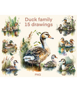 Duck family clipart Watercolor png, Duck digital print, illustration set - $3.12