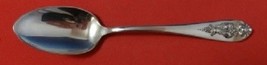 Pendant of Fruit By Lunt Sterling Silver Place Soup Spoon 6 3/4" - $78.21