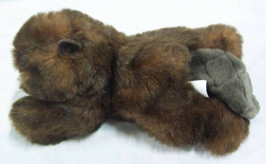 beaver cuddly toy