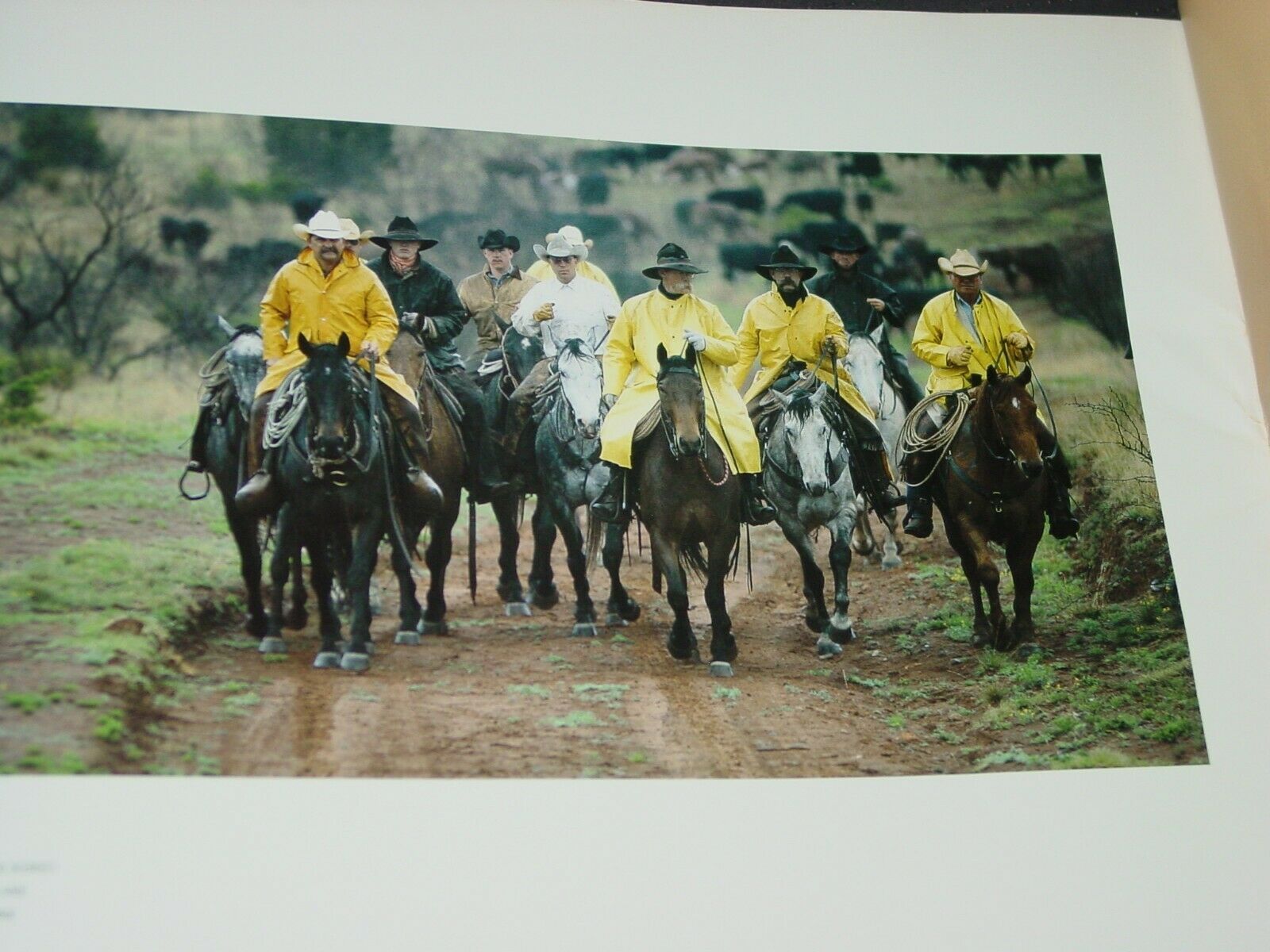 Pitchfork Country The Photography Of Bob Moorhouse, Pitchfork Ranch Texas Nonfiction