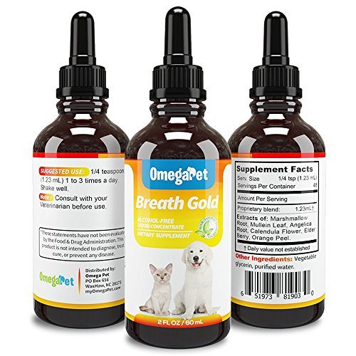 Kennel Cough Medicine for Dogs Organic Dog Cough Medicine for Colds