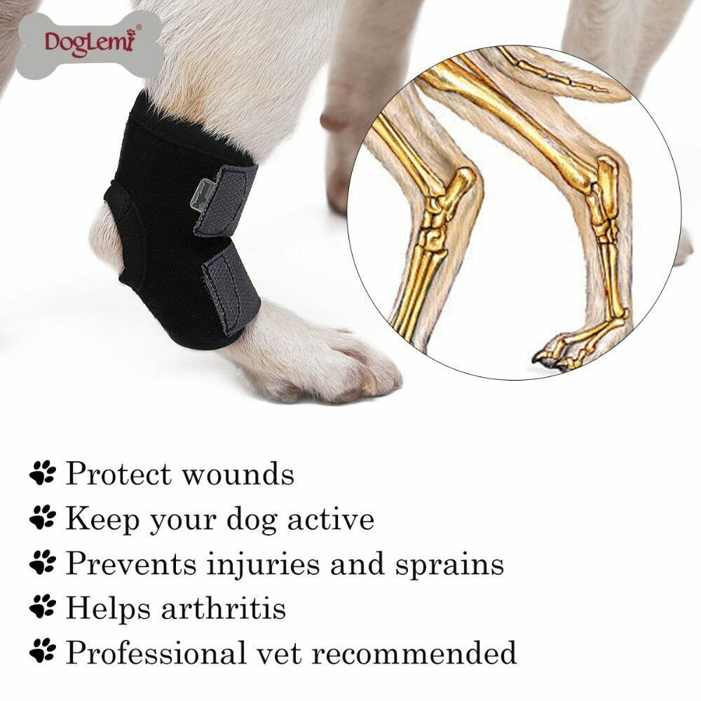 DogLemi Pet Dog Bandages Dog Leg Knee Hock Brace Straps Protection For