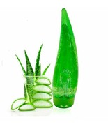 Shello Aloe Vera Feuchtigkeitsgel - 160 ml Feuchtigkeit glätten und beru... - $11.81