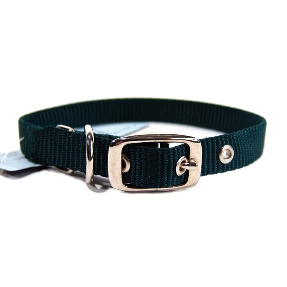 Hamilton Hunter Green Single Thick Nylon Dog Collar 5/8 X 16 In