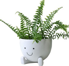 Face Flower Pot Face Planters Pots Cute Flower Pot Head Planter For Indoor - $39.99