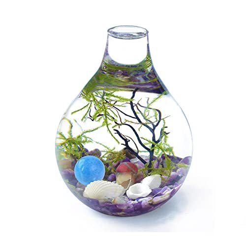Moss Terrarium Kit Mini Aquarium Fish Tank Teardrop Glass Home Decor