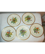 PICKARD HAND DECORATED 6&quot; ACORN PLATES 5 PIECES - £44.30 GBP
