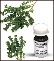 Natural Thyme Oil / 100% Pure Thyme Oil Premium High Quality (50ml) - $30.00