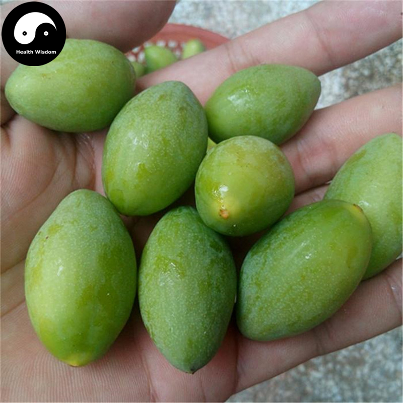 Buy White Olive Tree Seeds 12pcs Plant Green Olive Tree For Fruit Gan