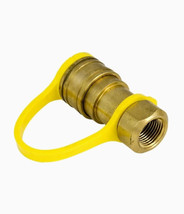 Char-Broil 3/8” Brass Quick Connect Coupler - $17.95