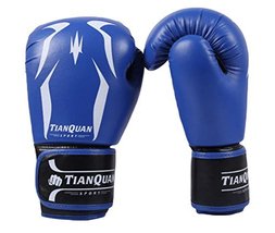 PANDA SUPERSTORE 10-oz Adult Boxing MMA Punching Mitts Training Gloves for Muay 