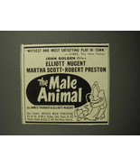 1952 The Male Animal Play Ad - Wittiest and most satisfying play in town - $14.99