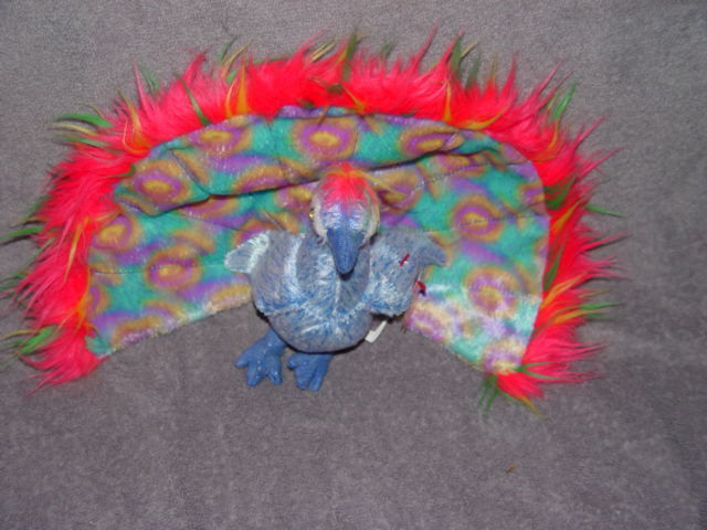 peacock beanie baby