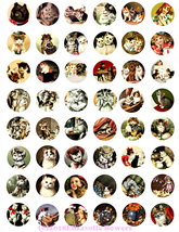Cat1inchcirc thumb200