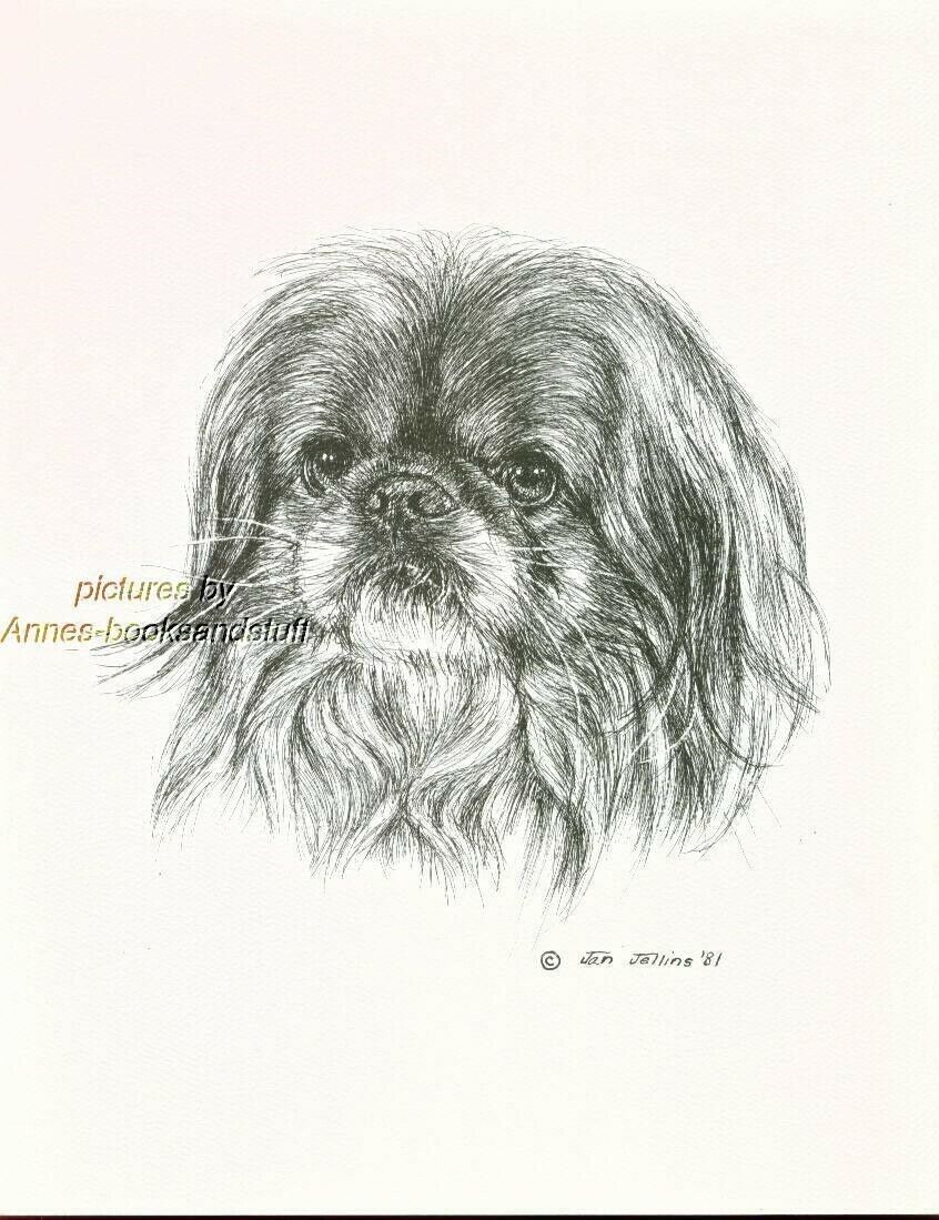 Pekingese Dog Pin Made Of Fine Pewter 
