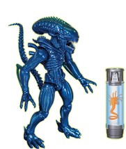 Alien Collection Xenomorph Warrior - $23.99