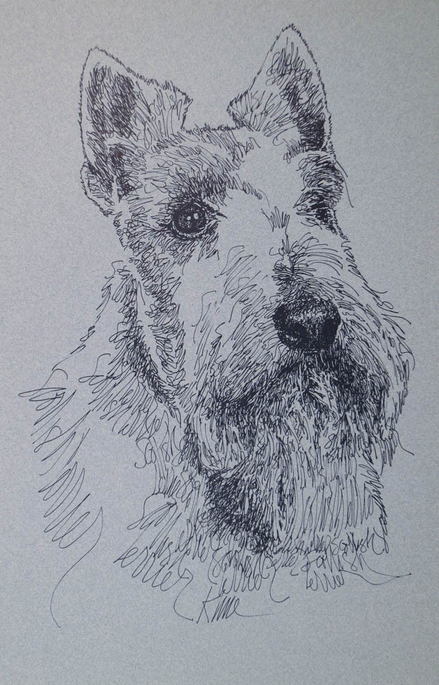 CAIRN TERRIER DOG ART LITHOGRAPH #46 Kline adds your dogs name free BREED GIFT 