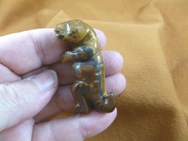 (Y-DIN-TY-563) Brown Dino T-REX Tyrannosaurus Dinosaur Gemstone Carving Figurine - $14.01