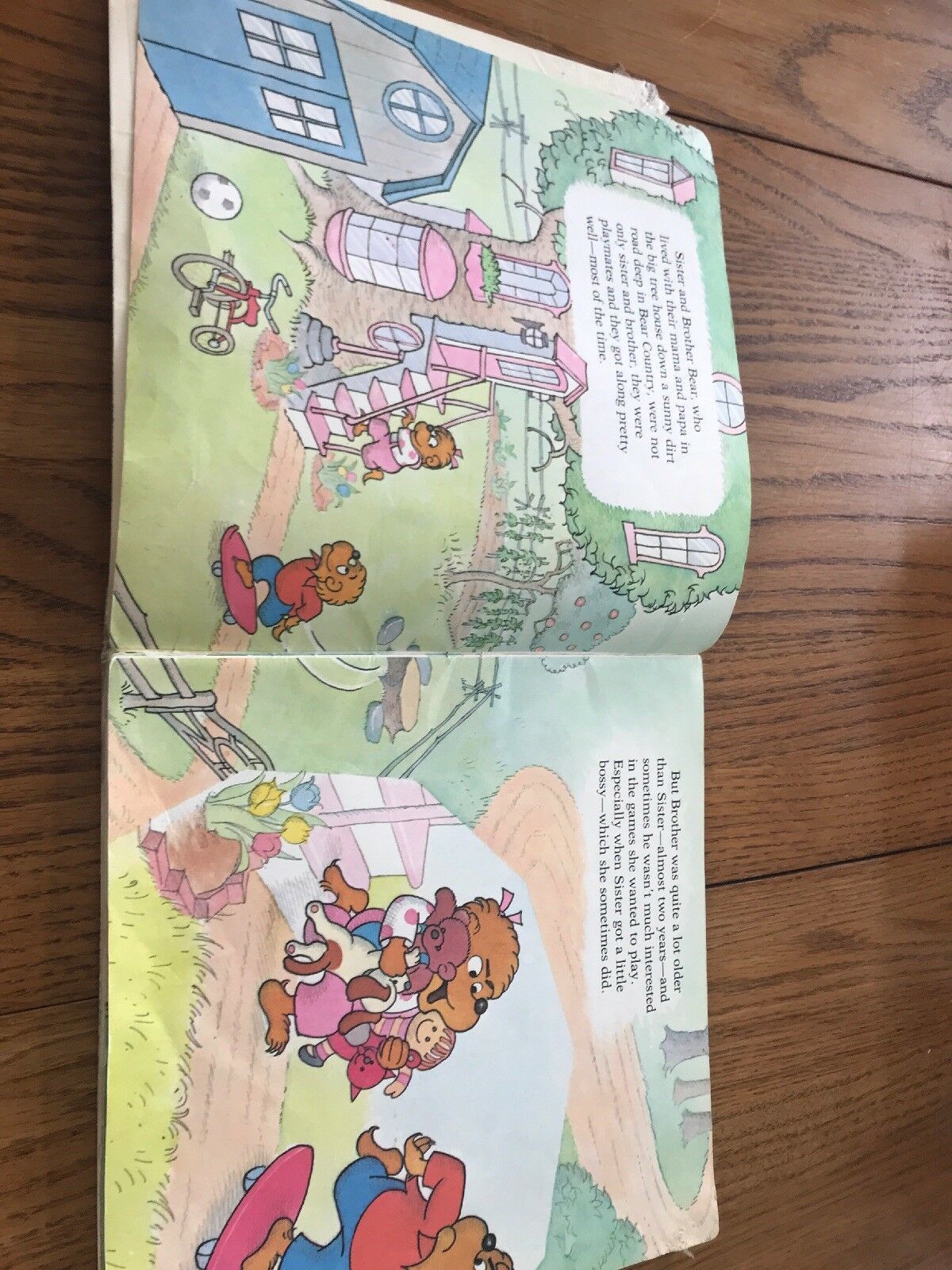 The Berenstain Bears And The Trouble With Friends By Stan And Jan Berenstain Books 8686