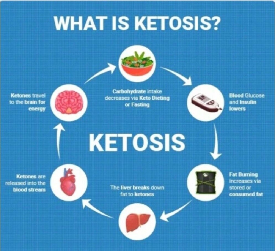 Кетоз. Ketosis Fasting. Ketosis icon.