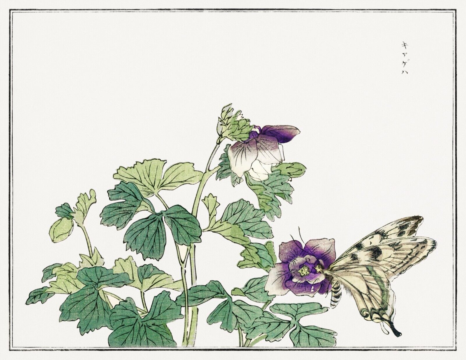 10064.Decor Poster.Room home wall.1910 Japan print.Morimoto Toko art.Floral