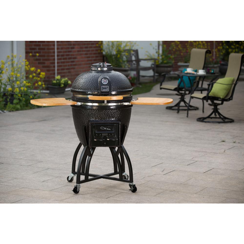 Charcoal Grill 10 lb. Fuel Capacity Removable Ash Catcher Stainless