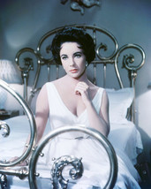 Cat On a Hot Tin Roof Elizabeth Taylor 16x20 Canvas Giclee - $69.99