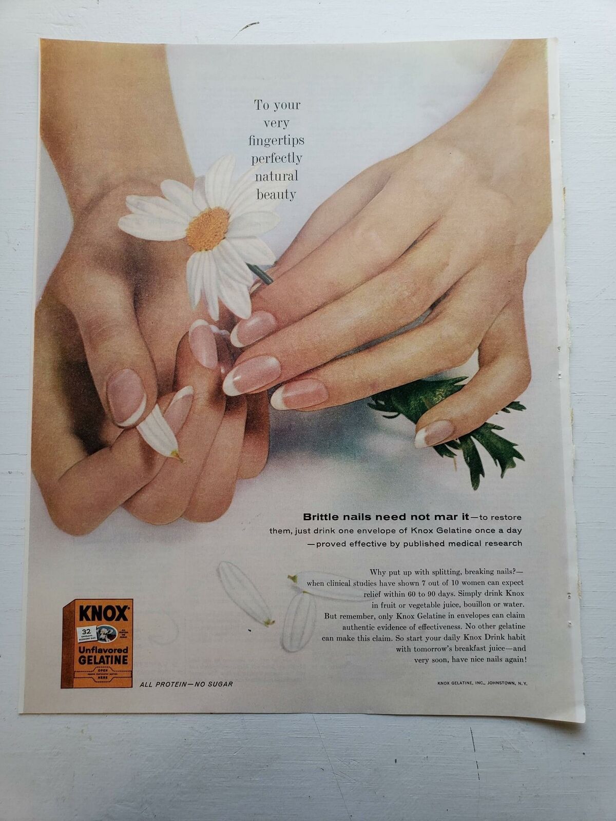 1961 Vintage Ad Knox Unflavored Gelatin Brittle Nails 13" x 10