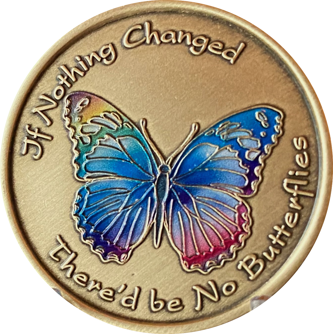 If Nothing Changed There'd Be No Butterflies Rainbow Butterfly Medallion Coin
