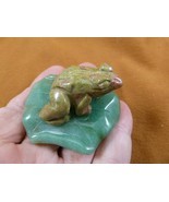 (Y-FRO-LP-712) Green orange FROG frogs LILY PAD stone gemstone CARVING f... - $17.53