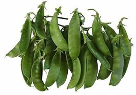 Oregon Giant Snow Pea Seeds- 25 Count Seed Pack - Non-GMO - Finest Tasting, Most - $1.59