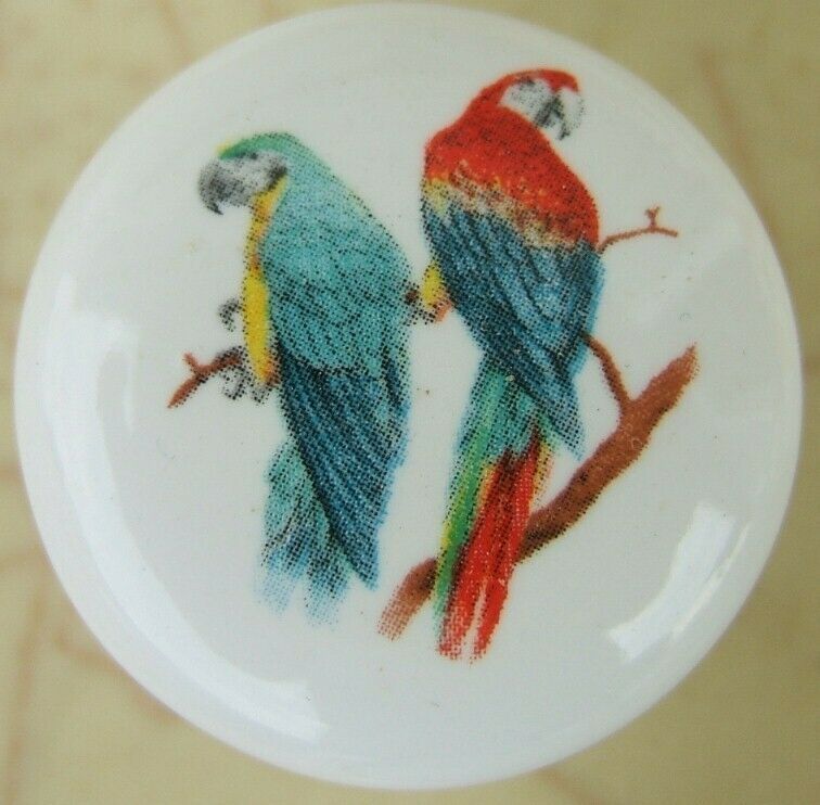 RFID credit card protection case armor wallet Flying Macaw parrot bird 7146 