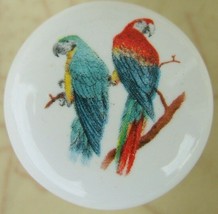 CABINET Knobs w/ Parrots Parrot Parrott Tropical BIRD - $5.25