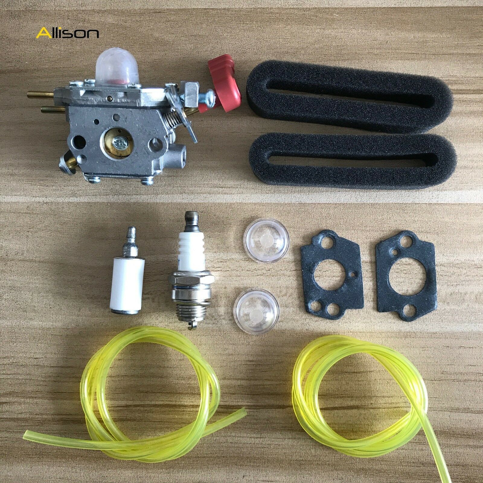 Carburetor Kit For Craftsman Remington TroyBilt Murray 25cc TwoCycle