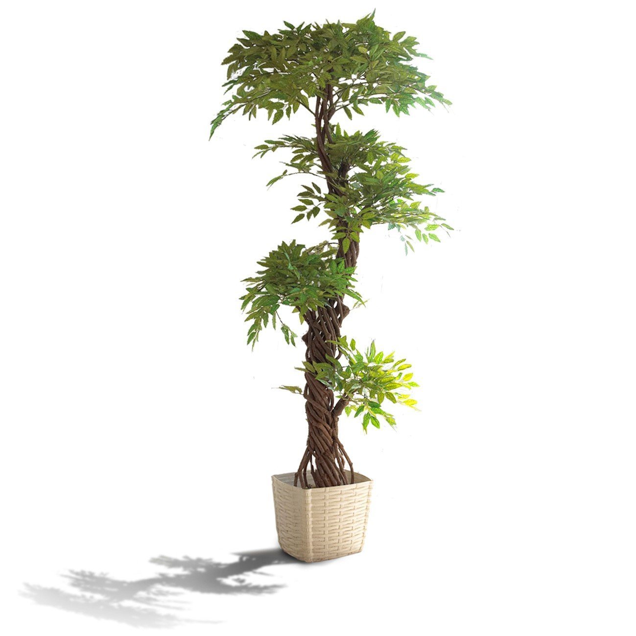 Premium Artificial Plants and Trees, Unique Japanese Fruticosa Tree