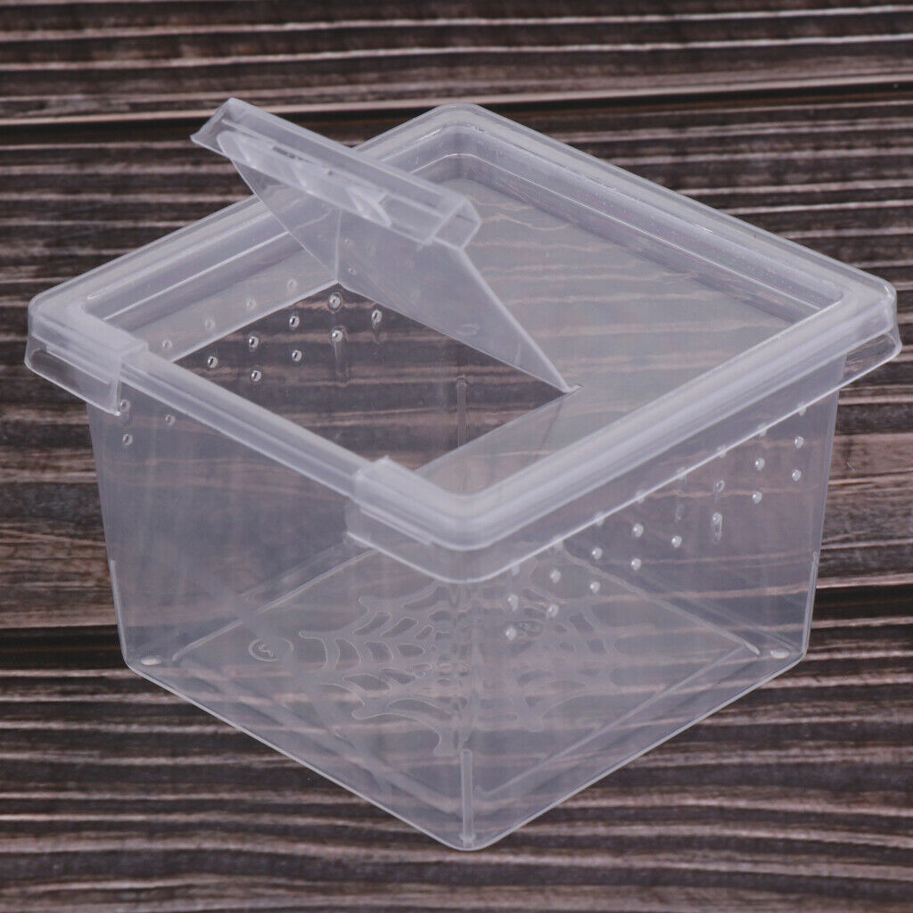 10pcs Feeding Reptile Hatching Container Rearing for Lizards Insect ...