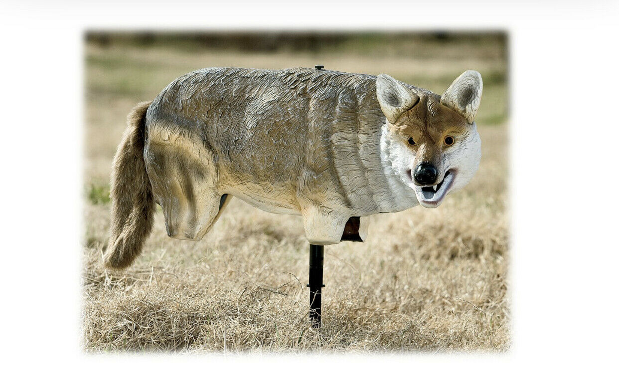 Yote' Coyote Decoy (bps) Decoys