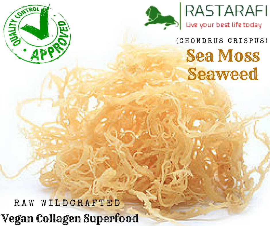 Rastarafi® Whole Leaf Irish Sea Moss 1 LB | Raw WildCrafted Superfood 16 Oz
