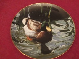 Mallard Duck Collector Plate Ron Parker Waterbirds - Hamilton Collection - $14.95