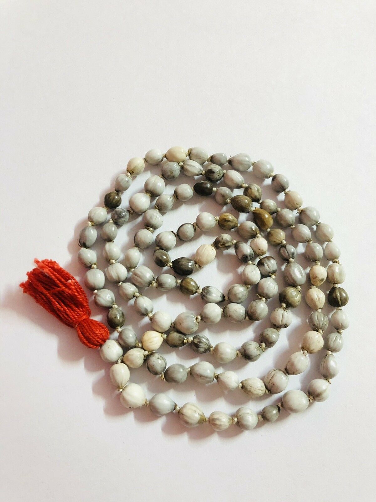 VAIJANTI BEEJ Japa Mala Vaijayanti Seeds and similar items