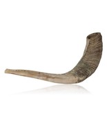 Natural Ram Horn Shofar with Curved Top and Ridges - £15.87 GBP