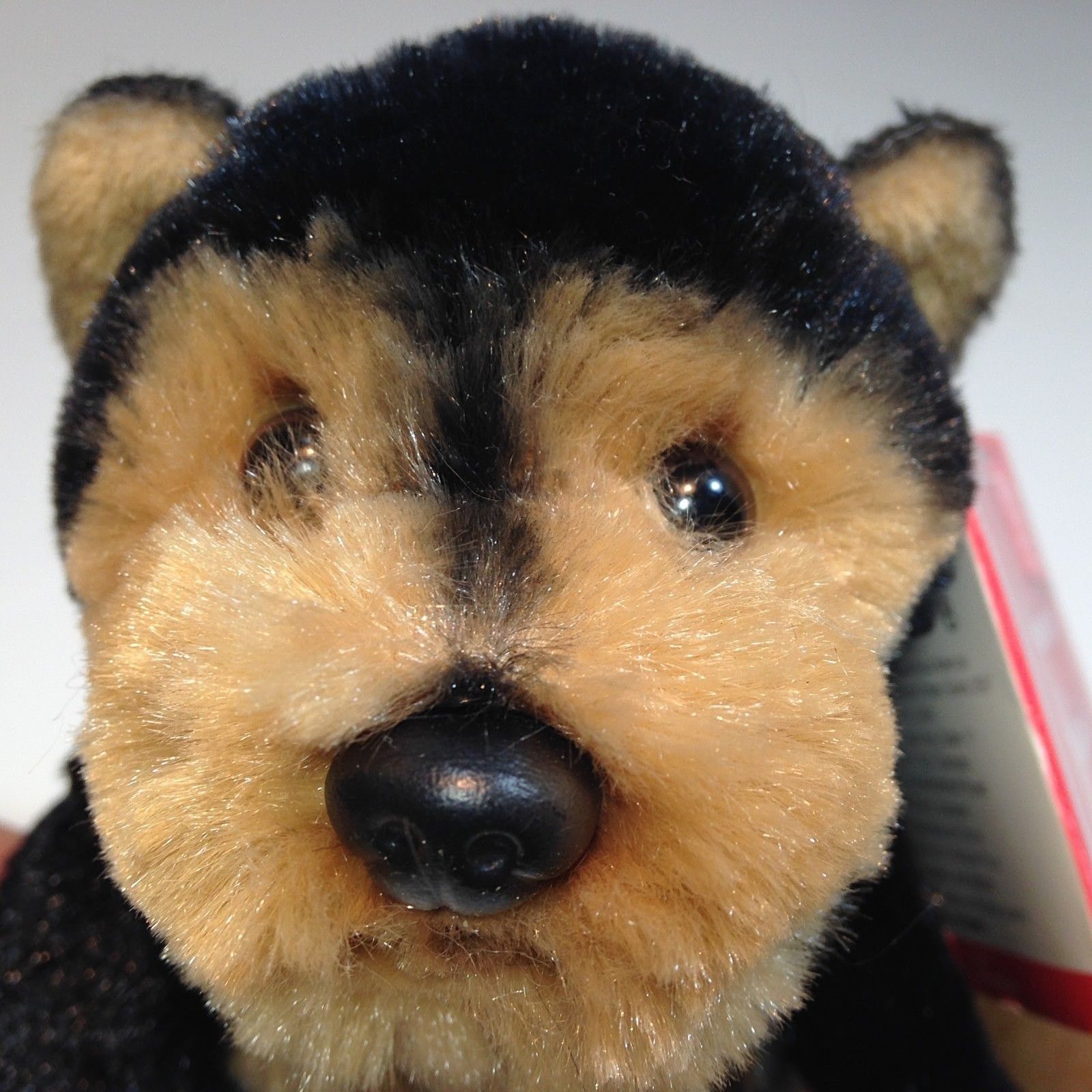 plush terrier dog