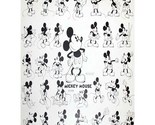 Hower curtain model work sheet mickey mouse cute and funny animation cartoon movie thumb155 crop