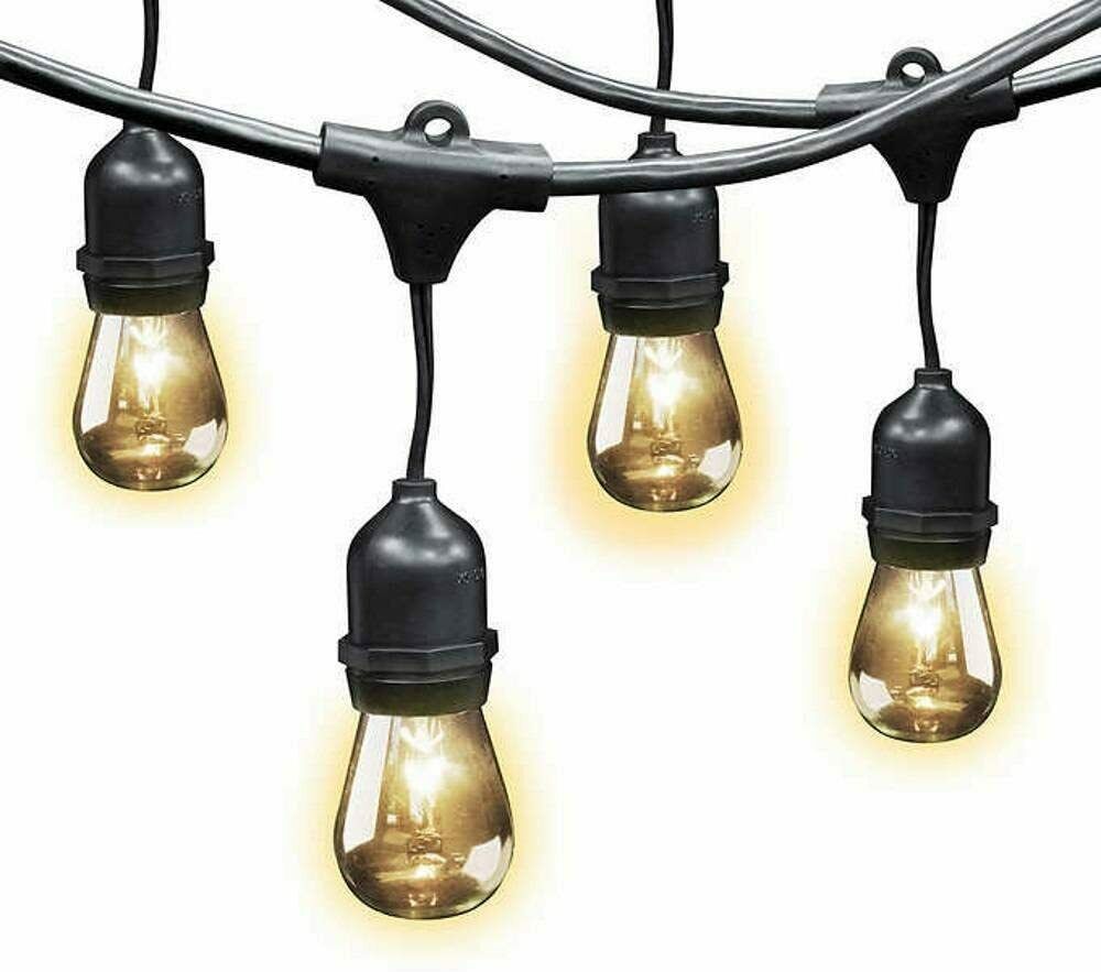 Feit Electric String Lights 48 Foot 24 Lights Sockets 36 Bulbs Included ...